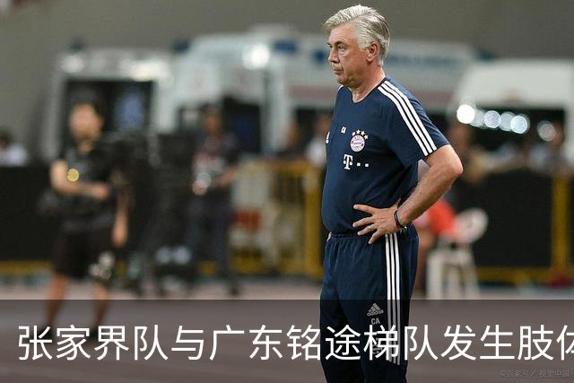 张家界队与广东铭途梯队发生肢体冲突，湖南省足协：暂停涉事人员参加省内一切足球活动